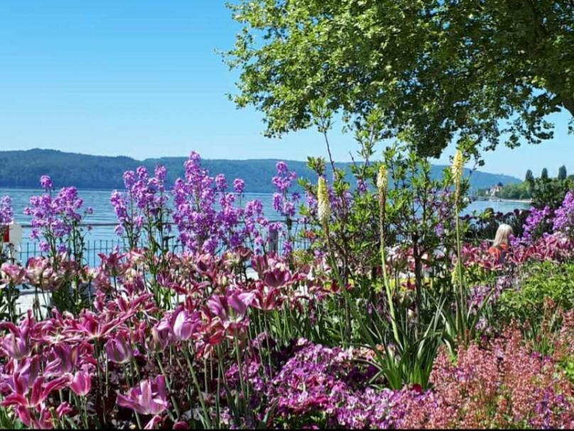 Lakeview Penthouse Meersburg Eksteriør bilde